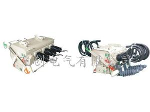 PGS上高压六氟化硫断路器(带有避雷器)